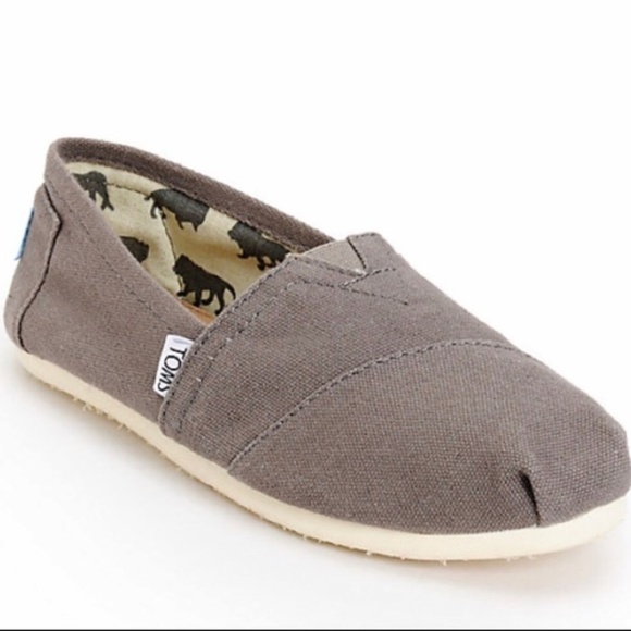 toms ash canvas